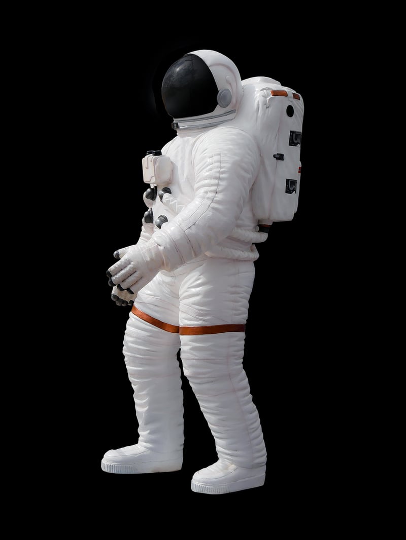 Future Space Adventures